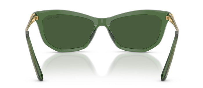#colour_transparent-green-dark-green