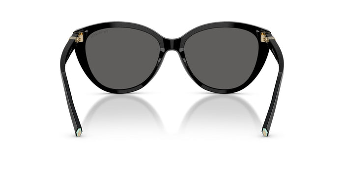 Tiffany TF4251 Black/Dark Grey #colour_black-dark-grey