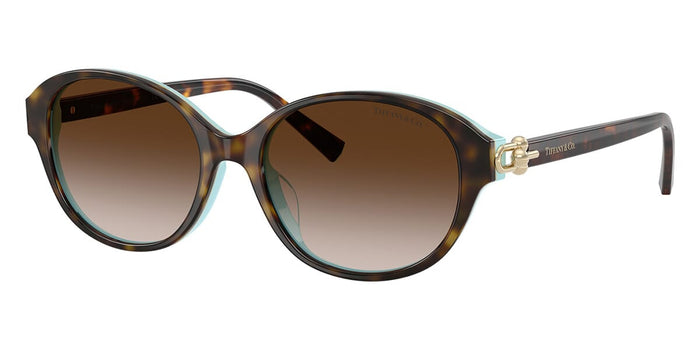 Tiffany TF4263D #colour_havana on tiffany blue/brown gradient