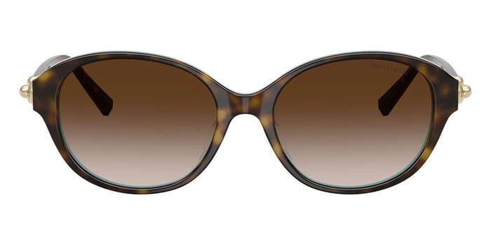 Tiffany TF4263D #colour_havana on tiffany blue/brown gradient