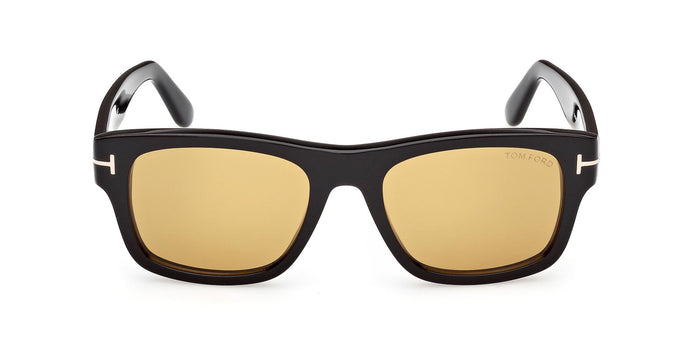 #colour_shiny-black-brown