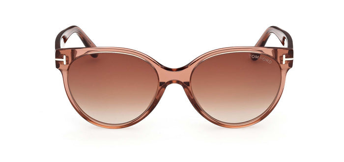 #colour_Shiny-Light-Brown/Brown-Gradient
