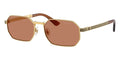 Versace VE2297 #colour_gold/brown