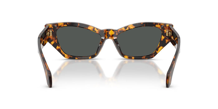 Versace VE4488U #colour_havana tortoise/dark grey