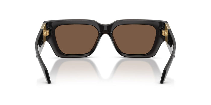 Versace VE4497U #colour_brown crystal/brown
