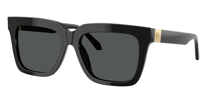 Versace VE4498 #colour_black/dark grey