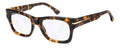 Brown Havana / 50
