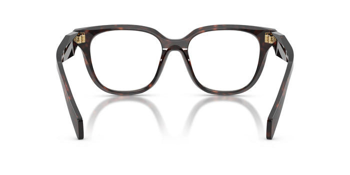 Prada VPR C11 Root Tortoise #colour_root-tortoise