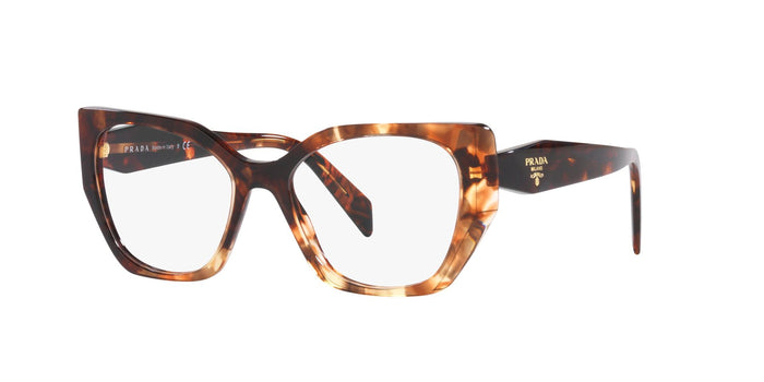 Caramel Tortoise / 54