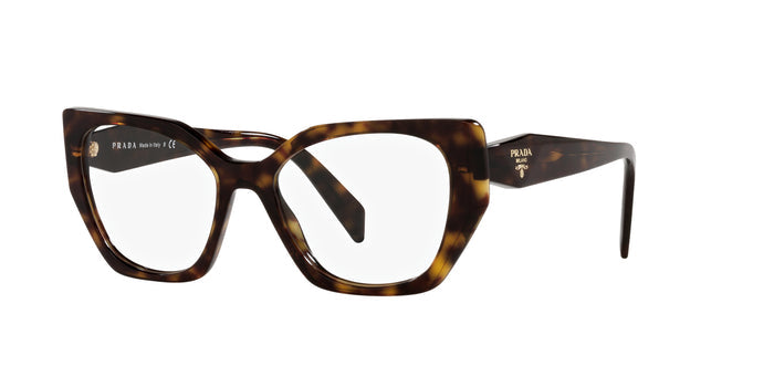 Dark Tortoise / 54