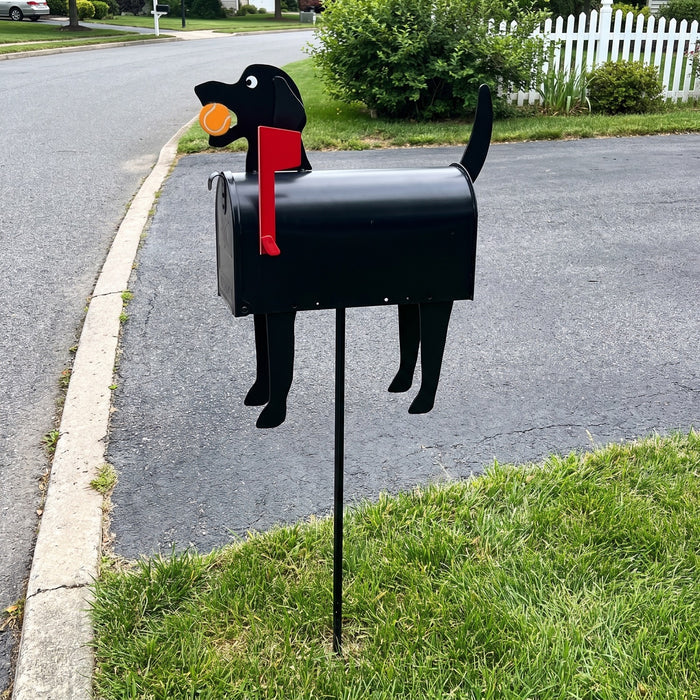 Black Labrador mailbox with tennis ball on a ground stake